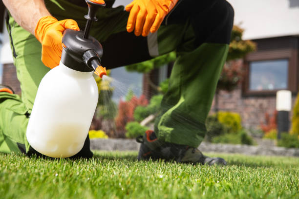 Best Commercial Pest Control Services  in Lynchburg, OH