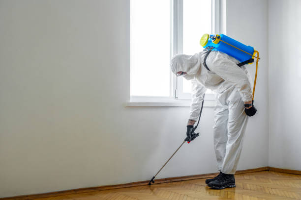 Best Emergency Pest Control  in Lynchburg, OH